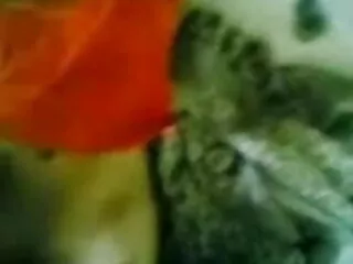मेरा इंडोनेशिया बफ फुल सेक्सी फिल्म वेब कैमरा