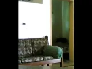 मिमीक - नेल्सन २३ हिंदी मूवी फुल सेक्स