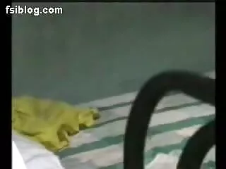 आई लाइक द वे यू स्मेल फुल सेक्सी वीडियो फिल्म