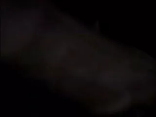 तांडव सेक्स सेक्सी मूवी फुल hd वीडियो दलों 2