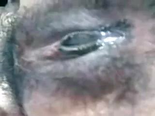 आबनूस किशोरों की चमक फुल सेक्सी इंडियन मूवी धार
